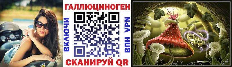 ссылка на мегу Вытегра Псилоцибиновые грибы Psilocybe